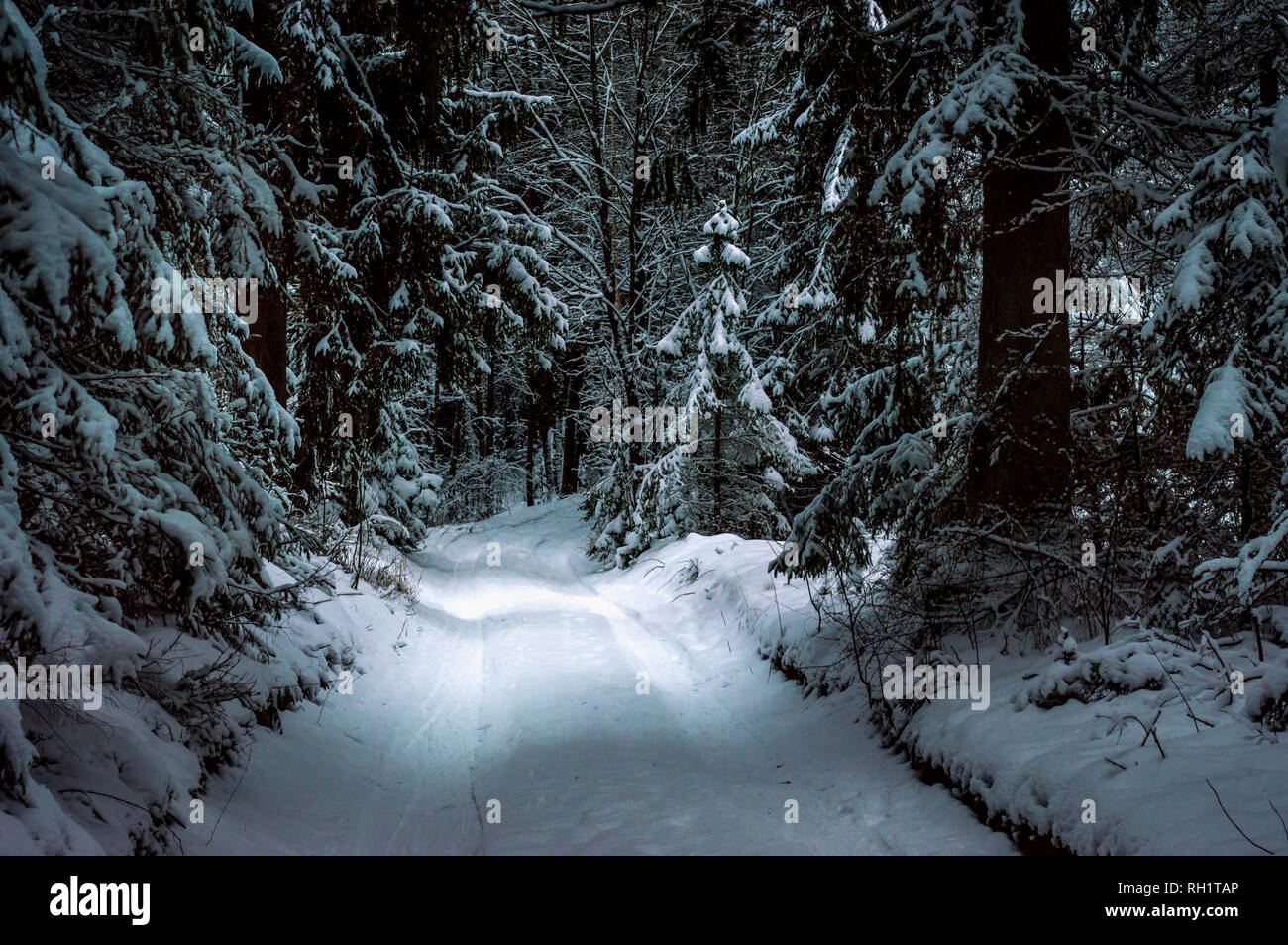 Weg in den Wald nach einem Schneesturm. Schnee ist rund um, etwas Licht sichtbar auf der Straße, die durch dunkle Schatten kam. Stockfoto
