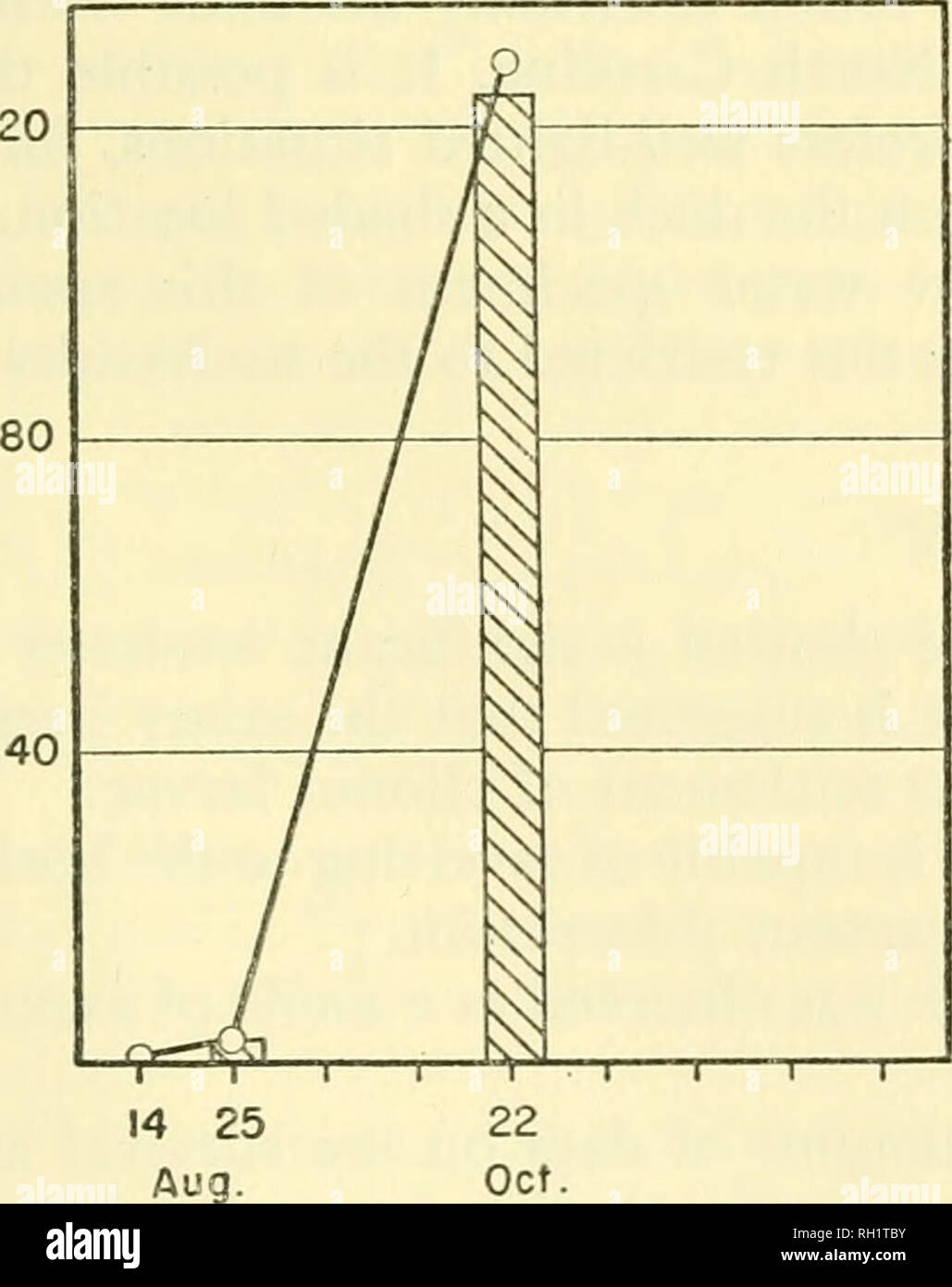 . Bulletin. Natural History; Natuurlijke Historie. Abbildung 32. Diagramm fasst die Lebensgeschichte von Haliclona loosanoffi. 120. Bitte beachten Sie, dass diese Bilder sind von der gescannten Seite Bilder, die digital für die Lesbarkeit verbessert haben mögen - Färbung und Aussehen dieser Abbildungen können nicht perfekt dem Original ähneln. extrahiert. Peabody Museum of Natural History. New Haven: Das Museum Stockfoto