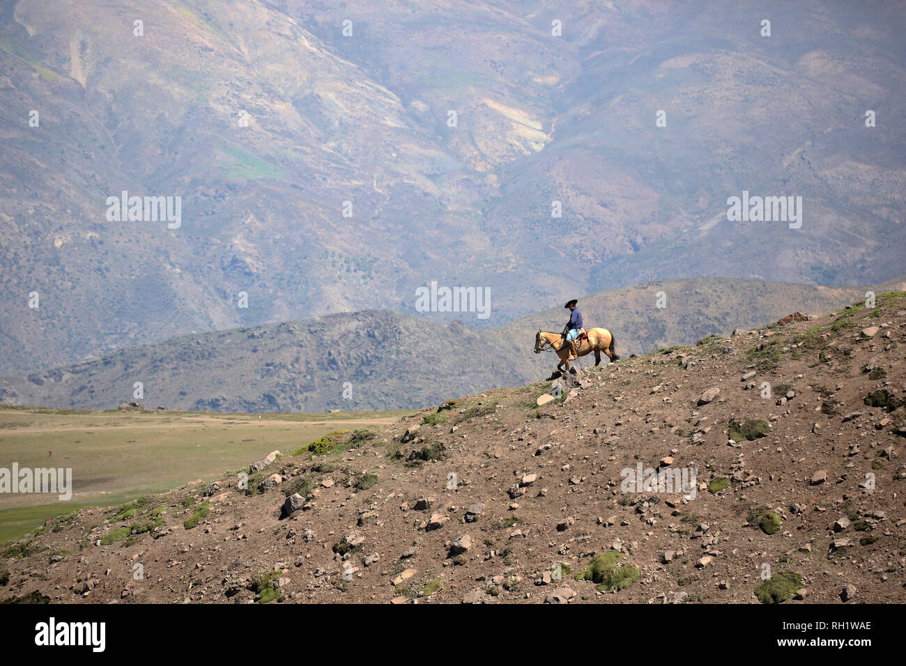 Mann auf dem Pferd in den chilenischen Anden Stockfoto