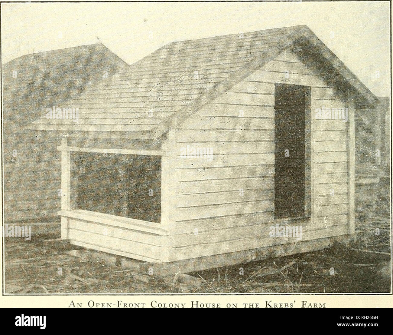 Gebaut Und Von Poultrymen Verwendet Geflugel Gebaut Amp Durch