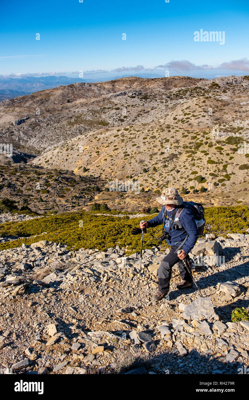 Wandern in der Natur. Biosphärenreservat. Naturpark Sierra de las Nieves. Ronda, Malaga Provinz. Andalusien, Südspanien. Europa Stockfoto