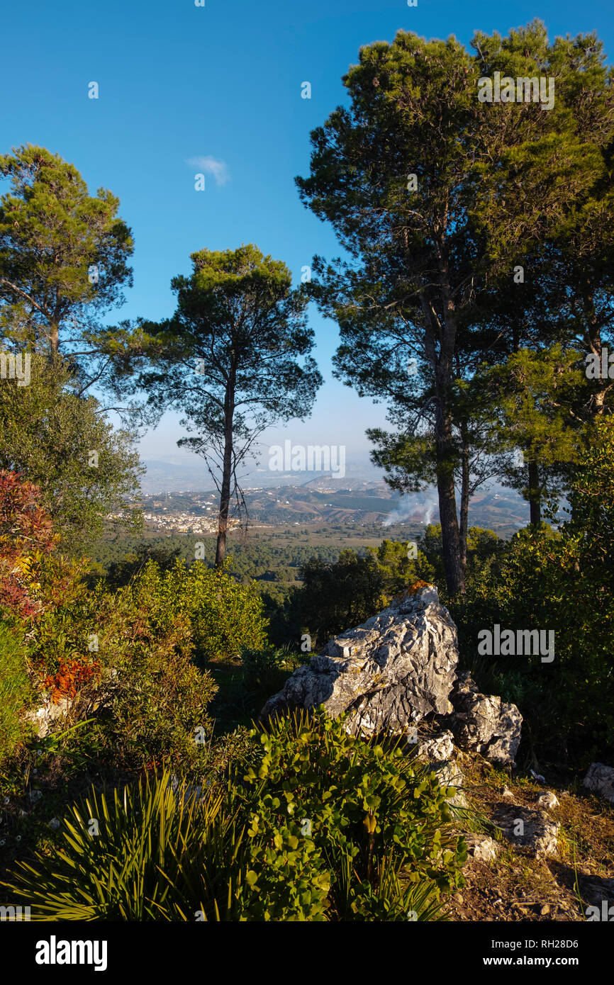 Natur Landschaft. Dämmerung in der natürlichen Räume der Münze. Valle del Guadalhorce. Provinz Malaga, Andalusien. Spanien Europa Stockfoto