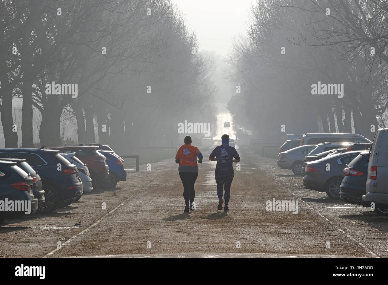 Lady Anne Drive, holkham Immobilien, North Norfolk, England Stockfoto