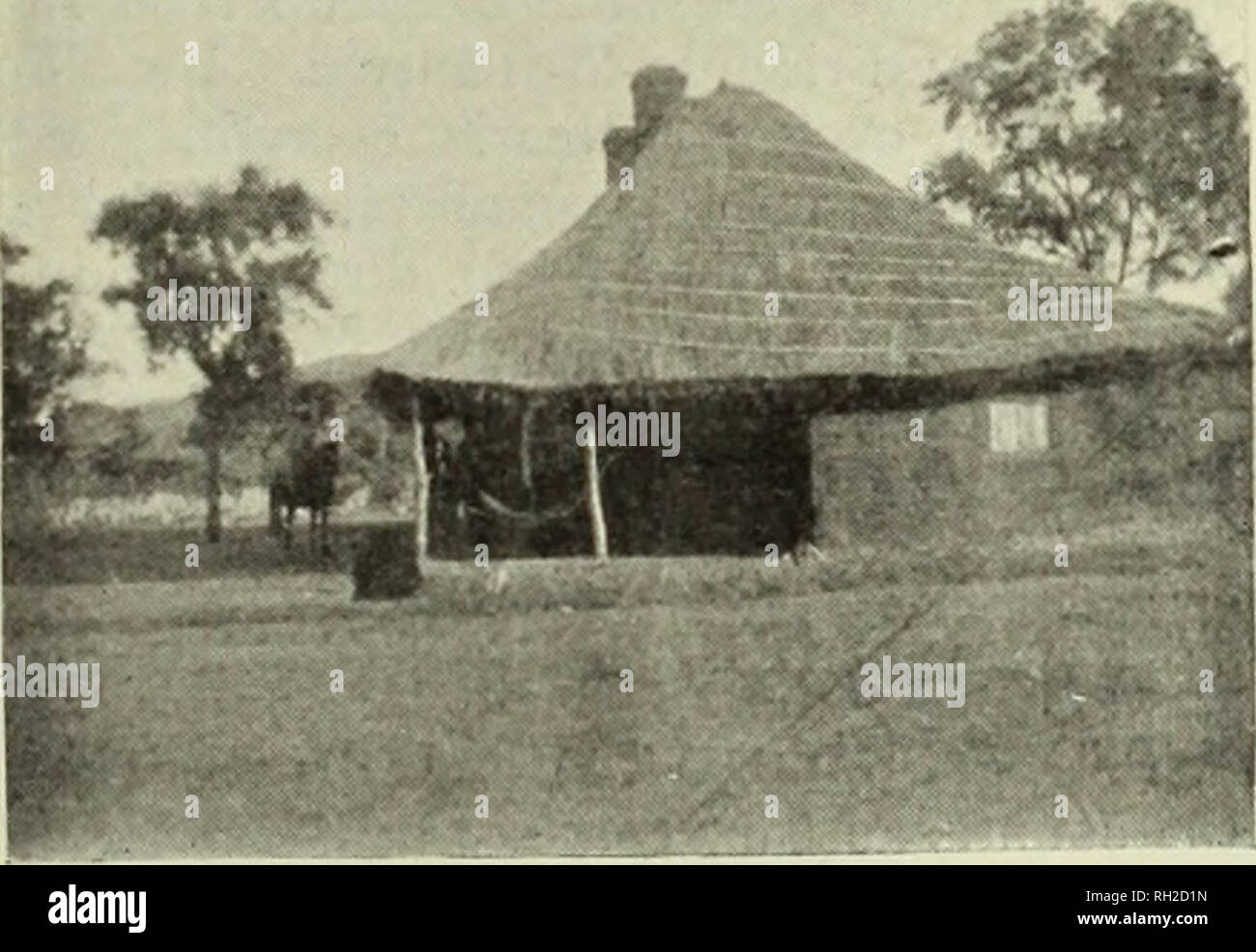 . Britische Zentralafrika; ein Versuch, von einem Teil der Territorien unter britischen Einfluss nördlich des Sambesi zu geben. Natural History. Die europäischen Siedler 163 Bugs, die saugen die sap von der Kaffeepflanze. Alle sind sich einig, dass die einzige vorbeugende des defekten Berry ist viel Schatten und Dünger. Ein System der "Nachfüllen" 1 wurde nun fast überall angenommen, wenn auch vielleicht nicht in demselben Ausmaß, in dem es auf in Ceylon und Indien durchgeführt wird, für die es schwierig ist, sofort auszubilden, um eine ausreichend Personal von Eingeborenen, die fertig zu werden, und der Kaffee Beschneiden in einem Stockfoto