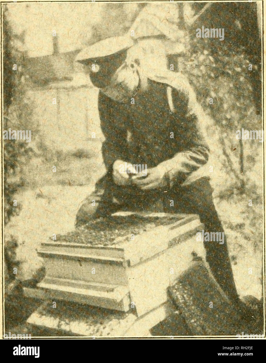 . Britische bee Journal &Amp; Imker Berater. Bienen. 362 DER BRITISCHEN BEE JOURNAL. [Nov. 16., 1916. Wight" Krankheit, und bis in die Gegenwart sie gut sind. Ich habe immer angenommen diese Methode vor dem Krieg, und durch meine Besonderes System der Umgang mit Bienen können leicht steuern klar von der Krankheit. Ich halte es für ziemlich unnecessarj ist "das Innere der Bienenstöcke zu brennen und saubere Kämme mit Krankheit betroffenen zerstören und ich habe über viele prominente Biene kommen-Keepers, der gleiche Plan mit großer sviccess gefolgt sind. Nun, ich habe schon auf ihrem Platz, vergriffen, so, abschließend, es freut mich zu sagen, ich bin ziemlich Stockfoto