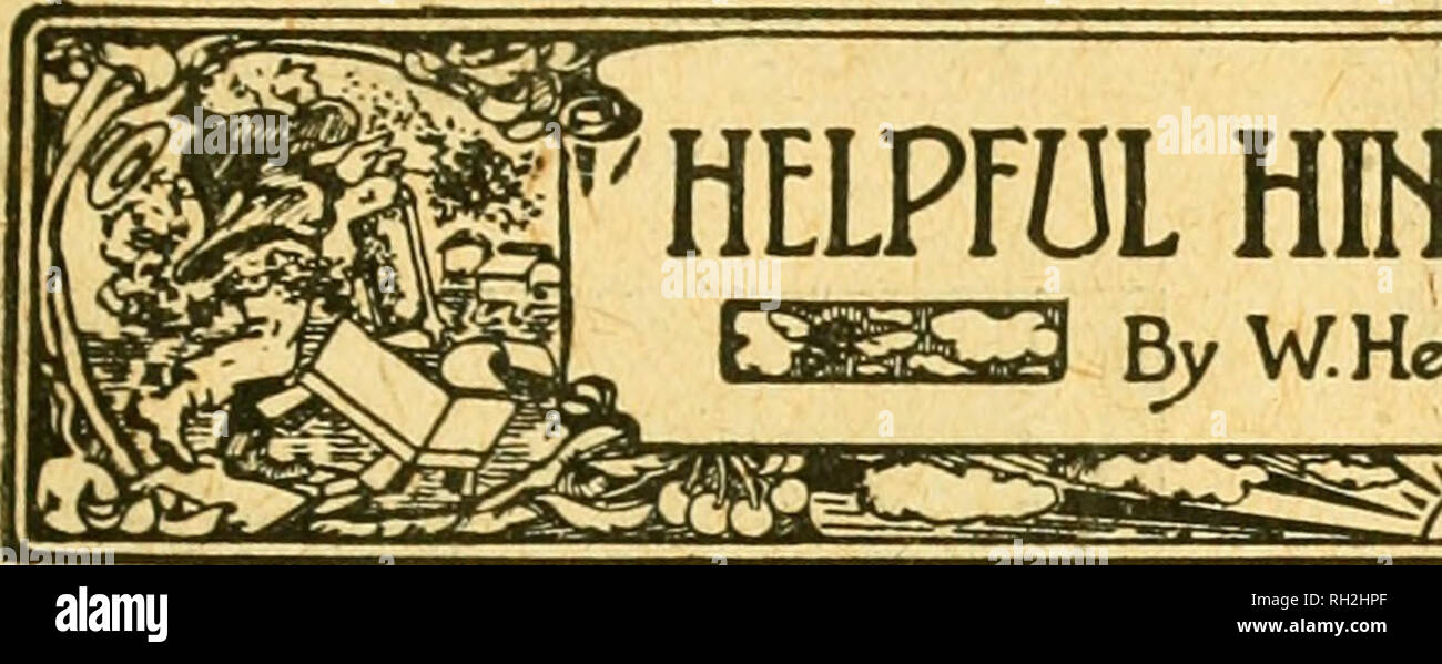 . Britische bee Journal &Amp; Imker Berater. Bienen. März 2, 191 (j.] DIE BRITISCHE BIENE JOUIINAL. 69â eaith ruht. Das Essen an die königliche Mutter gefüttert fehlt in Vitamine, Eier gelegt werden, das Hungergefühl auf die jungen Larven gefüttert ist von minderwertiger Qualität und der imago trägt auf seinem Leben vvorii schlecht genährt, und leiden unter physiologischen Hunger, so schnell stirbt. In Bezug auf das halbe Dutzend überlebenden Kolonien; sie bewiesen, dass die Fähigkeit, Geschäfte aus einer größeren Entfernung zu sammeln als die anderen konnten sie gedeihen, aber sie konnten nicht so, es sei denn die Pflanzen, die Sie auf besuchten Wuchs getan haben Stockfoto