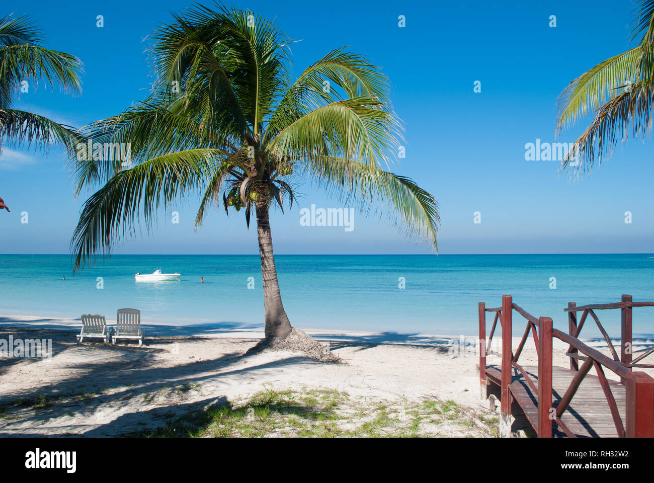 Palmen am Strand von Cayo Jutias in Kuba. Boot und blauen Meer haben einen Rest auf dem goldenen Sand. Strand im Golf von Mexiko. Stockfoto
