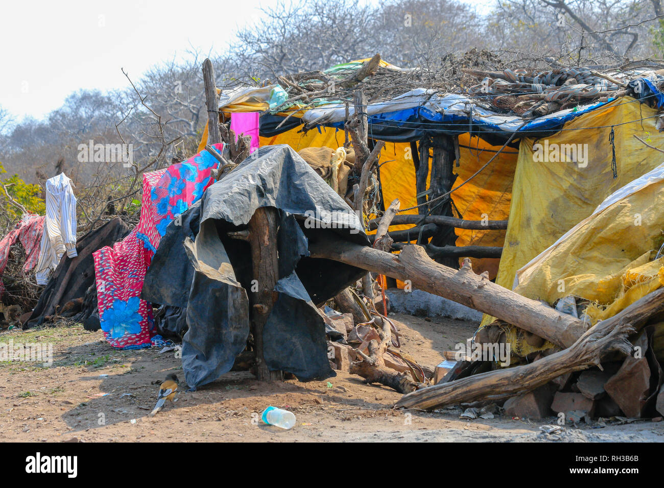 Schlafen in indien Fotos und Bildmaterial in hoher Auflösung Alamy