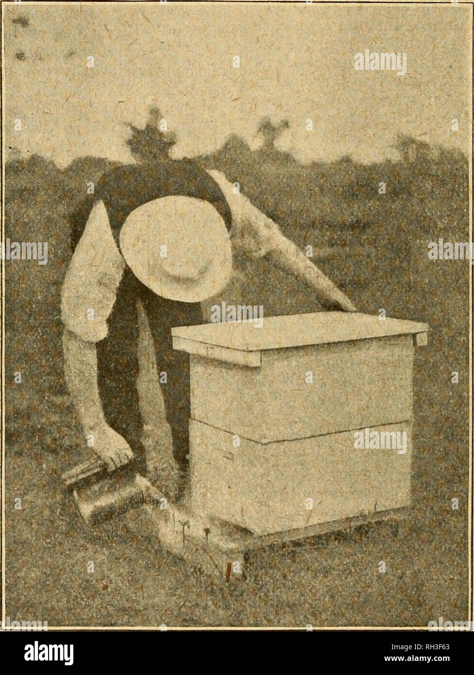 . Britische bee Journal &Amp; Imker Berater. Bienen. 8 S DER BRITISCHEN BEE JOURNAL. März 22,1917. Als £ 187,292. Er machte geltend, dass dies allein der Vorstand der Landwirtschaft in Geld auszugeben, um zu versuchen, die Krankheit auszurotten, gerechtfertigt. Schließlich die folgende Resolution wurde von Herrn L. E. Snelgrove, Abgeordnete von lieut.-Col. Vorgeschlagen Jolly, und unani - hously angenommen: - "Angesichts des Mangels an Zucker und der Tatsache, daß die Einfuhren von Honig für 1916 mehr als fünf Mal der vorigen durchschnittlichen waren, es gestalteri- wird zu einer nationalen Aufgabe für Imker, so viel Honig wie möglich produzieren, und die Sünde Stockfoto