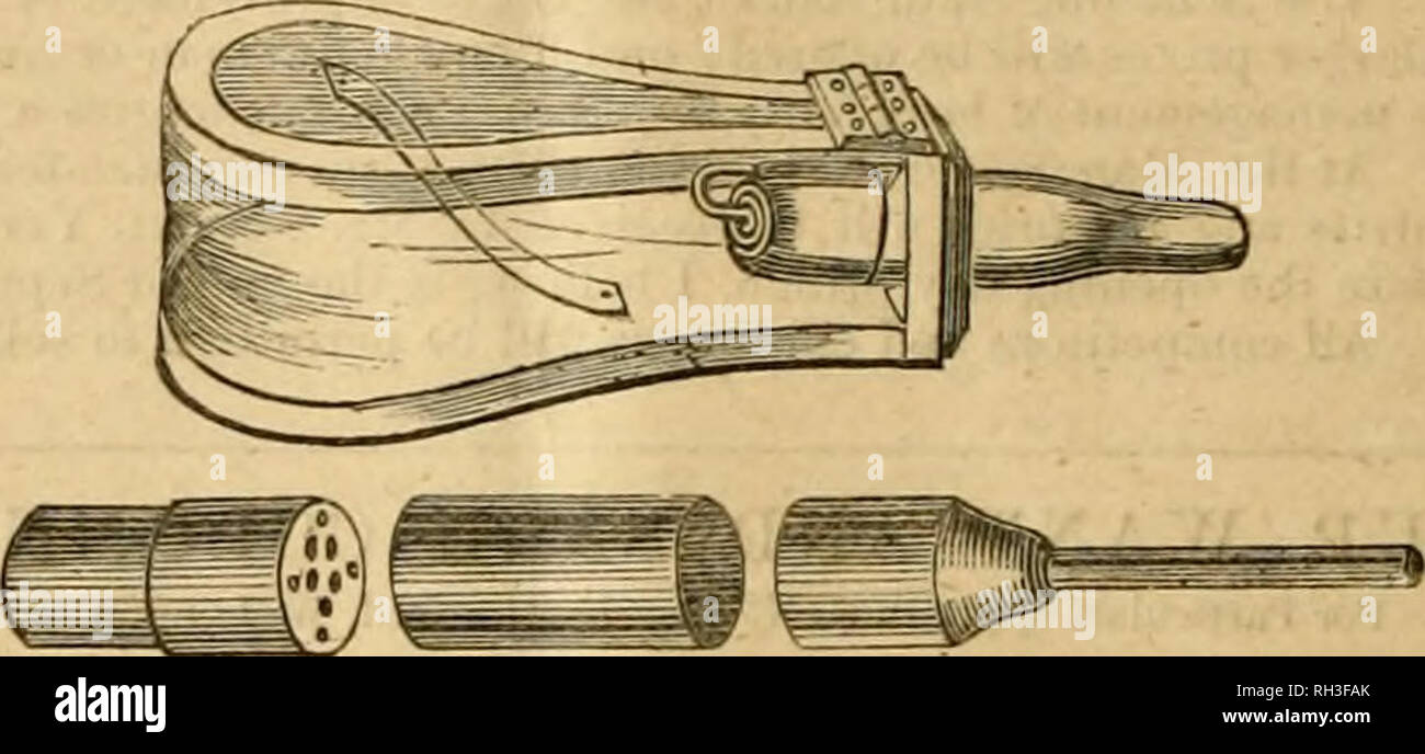 . Britische bee Journal &Amp; Imker Berater. Bienen. c? Das Messer, Schaber, für die Reinigung von Fußboden-board Nesselsucht, Rahmen,&AMP;c, eine Spezialität - Federstahl, nützlich als Honig Messer, oder statt der Dose Schaufel für die Fütterung. 2 s. Gd.Post. Bestellungen auch für die berühmten CARR - Eintopf - artonne HIVE, die mit dem Ersten Preis und Certi-ficate in Crystal Palace gewonnen hat, als die beste Bienenkorb auf dem storifying System. Für Einzelheiten siehe den vierten Seite der Zeitschrift. 0 UR HONIG MESSER. Neue Muster. Am besten elastische Stahl. Post,' ist. Gd. Die Biene leiser, die Erfindung des Kommissionsmitglieds, und Pfr. Henry Bligh. Preis 2. Od. Fumi Stockfoto