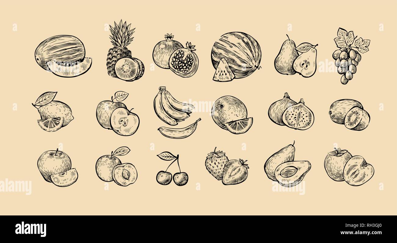 Eingestellt von Früchten. Frische Lebensmittel, gesunde Ernährung Konzept Skizze. Vector Illustration Stock Vektor