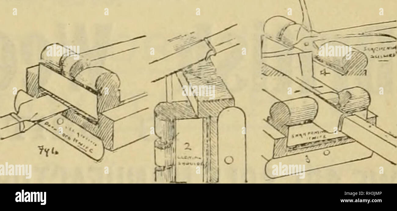 . Britische bee Journal &Amp; Imker Berater. Bienen. Dez. 3, 1908.] DIE BRITISCHE BEE JOURNAL. Besondere Prepaid Anzeigen. Zwölf Worte und unter. Sixpence; für jede weitere drei Wörter oder unter. Ein Penny. Machen sie ihre OTYN BRUT UND FLACHEN IKA. Mias, EM? Würde, aber nicht sah, verwalten - Schnitt in Top-bar. Ah, Sie wollen eine von Sargent's "spezielle Pianes"; Sie können 60 Groove in einer Stunde leicht, mit zwei Messer, Vs. h-Preis 3 s, Post kostenlos. - 2, Cnfton-Park, Merton, Surrey. m 29 HIMBEERE STÖCKE FÜR VERKAUF. Bienenstock,. Norwich Wunder, Baumforih des scheinbaren, 1*. 5d. ICO, 10 -:. 1000; Perfektion Stockfoto