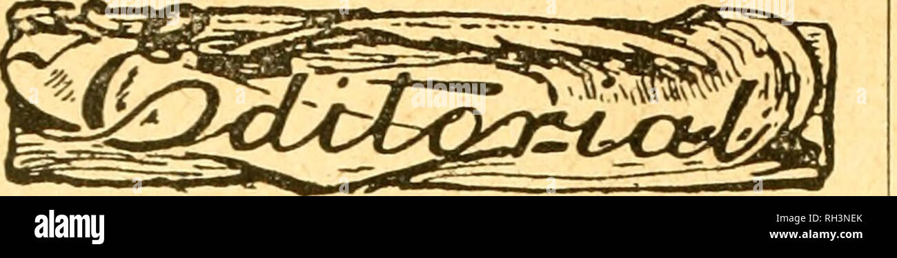 . Britische bee Journal &Amp; Imker Berater. Bienen. 186 DIE BIENE BEITISH JOUENAL. April 20, 1922 .. Nachruf. Herrn Samuel Jordan. Wir bedauern den Tod von Herrn Samuel Jordan, die am 23. März in seinem Haus, 25 aufgetreten ist, Longfield Straße, Bishopston, Bristol bekannt zu geben. Herr Jordan, der war 75 Jahre alt, wurde an Clearwell, in Gloucestershire geboren, war für die Lehre ausgebildet, und als Schule-Master hat die Arbeit in einem Ele- mentären Schulen in Bristol bewertet. Er hielt die schulische Termine an Street, Mi-bourn Port, Princes Risborough, bevor wir nach Bristol, wo er Meister von St. P wurde Stockfoto