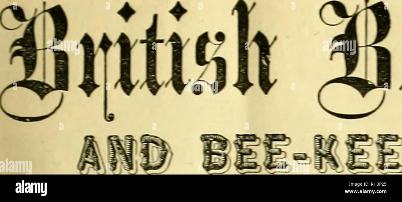 . Britische bee Journal &Amp; Imker Berater. Bienen. Die. n JJmu; nal, PWf ADVfSER. [Ho. 4.3. Vol. IV.] Januar, 187 [veröffentlicht monatlich. (^Tutorial, Hotiees, passen. Januar. Das milde Wetter des letzten Monats hat Bienen aktiv; aber, wie in der Folge der fast Dauerregen konnte es keine forag-ing und kein Einkommen, außer, dass künstlich gegeben, Zucht hat fast ausgesetzt worden, und nur wenig verändert hat sich in Nesselsucht über eine DIMI-nution Ihrer stores. Die einzige Unterbrechung in der regnerischen Charakter der Wetter kam es in der Nacht auf den 23. ult., wenn eine schwere Schnee nahm Stockfoto