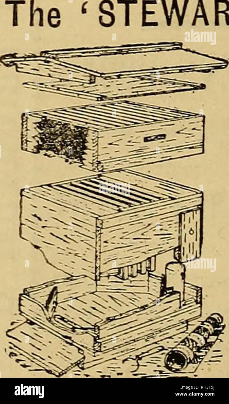 . Britische bee Journal &Amp; Imker Berater. Bienen. Die britische BEE JOURNAL. [Juni 23, 1892. Haben angeordnet Schlitten auf Biene Möbel mehr als 25/-in Wert zu bezahlen. Listen kostenlos. Dampf Tischlerei arbeitet, ST. NEOTS. Riegel - über Honig Gläser, l-lb., 12 s pro Brutto. FREDK. PEARSON, Stockton Heide, Warrington. TTALIAN BIENEN, Queens, schwärmen. 1 Bienenstöcke mit festen und beweglichen Waben. Honig und Wachs zu günstigen Preisen. Preislisten gesendete Post kostenlos. Adresse: L. R. Lambertenghi &Amp; Co., Caravaggio, Italien. Yorkshire Landwirtschaftliche Gesellschaft. Schirmherr: skh Die Pkince von Wales, K.G. Präsident: Der Rt. Hon. J. Lowther, M. Stockfoto