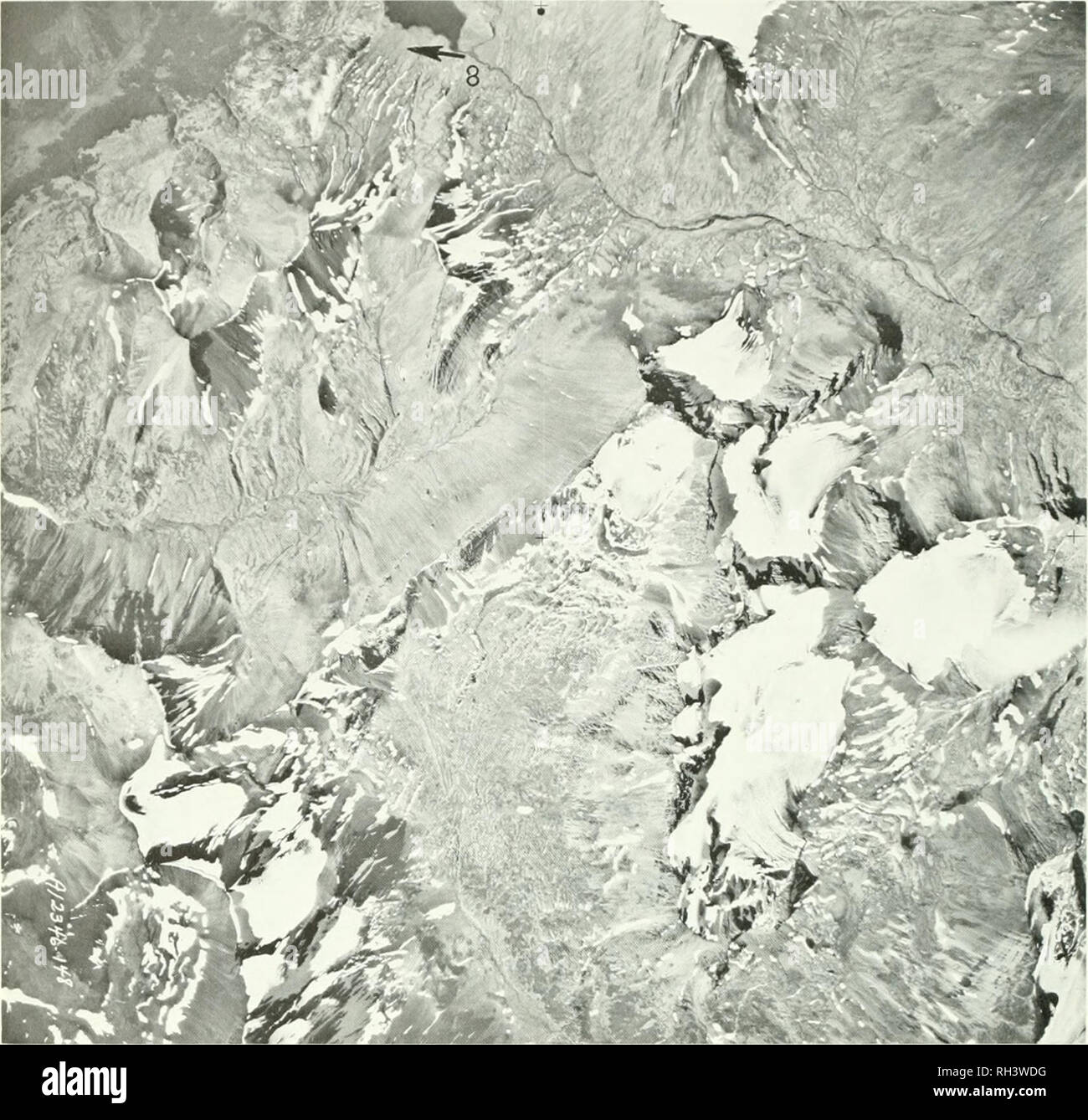 . Brigham Young University science Bulletin. Biologie -- Zeitschriften. 46 Brigham Young University Science Bulletin. Abb. 42. Mt. Die Region am südlichen Ende des Eaglenest. LocaHty 8, in der Nähe der Pass See, I.s. in einer niedrigen Sattel im unteren Betten der Bowser Bildung geschnitzt. Mt. Wird zwischen den drei Gletscher an der rechten Mitte ist in den massiven Jurassic vulkanischen Felsen. Parnassia fimbriata König. Lokalität #2, RC 226, am 28. Juli; #7, RC 2,50, 5 Aug. Alpine Tundra oder. Serpentine aufdringlich und Lava. s. Pahistris Parnassia L. Lokalität #4, RC 188, vom 22. Juli. Eiszeit mo-Raine, in offenen Wald. s. Ribes lacustre Stockfoto