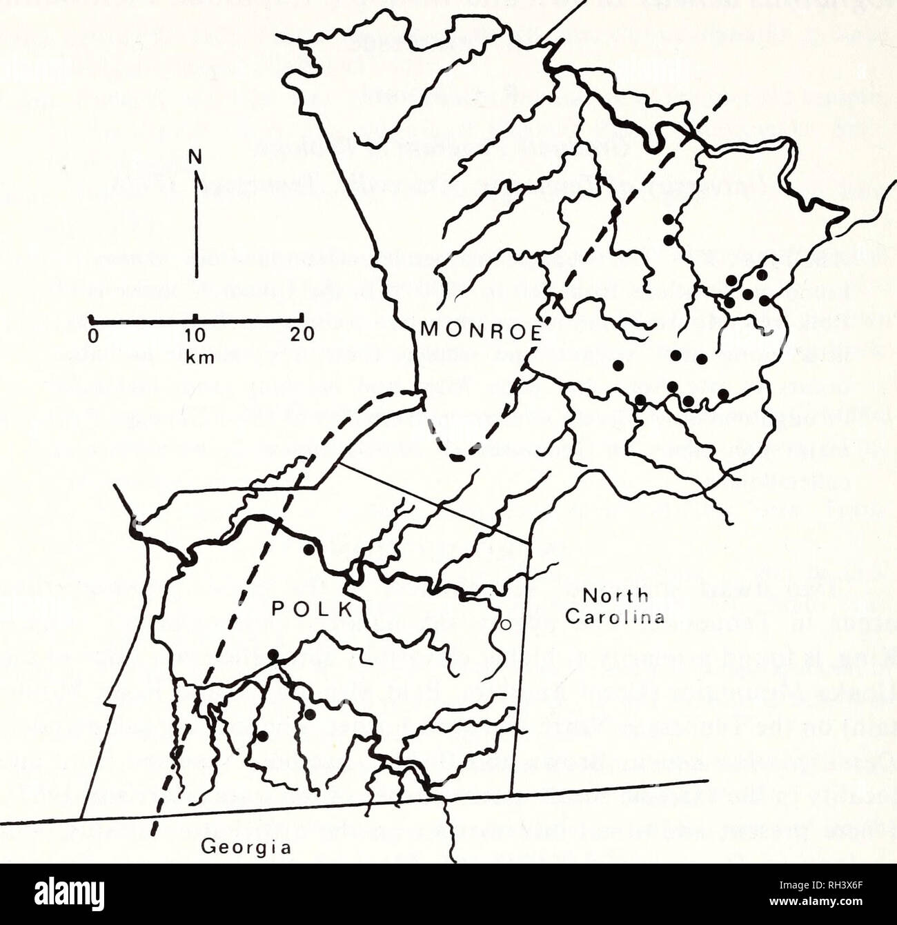 . Brimleyana. Zoologie; Ökologie; Natural History. 96 R. L. Jones. Georg ich ein Bild. 1. Verteilung von D. aeneus in Tennessee. Feste Symbole stehen für Städte und Gemeinden, aus denen Proben untersucht wurden, öffnen Sie das Symbol repräsentiert eine Literatur aufzeichnen, gestrichelte Linie stellt die ungefähre Westgrenze der Blue Ridge physiographischen Provinz. Sohn (1967) der Ansicht, dass die Little Tennessee River als Barriere gegen die Ausbreitung dieser Art gehandelt hat. Meine Bemühungen, die Bevölkerung in der Region ansiedeln, unmittelbar nördlich des Flusses in Tennessee, blieben erfolglos. Lebensraum Niedersachsen aeneus wurde als gekennzeichnet Stockfoto