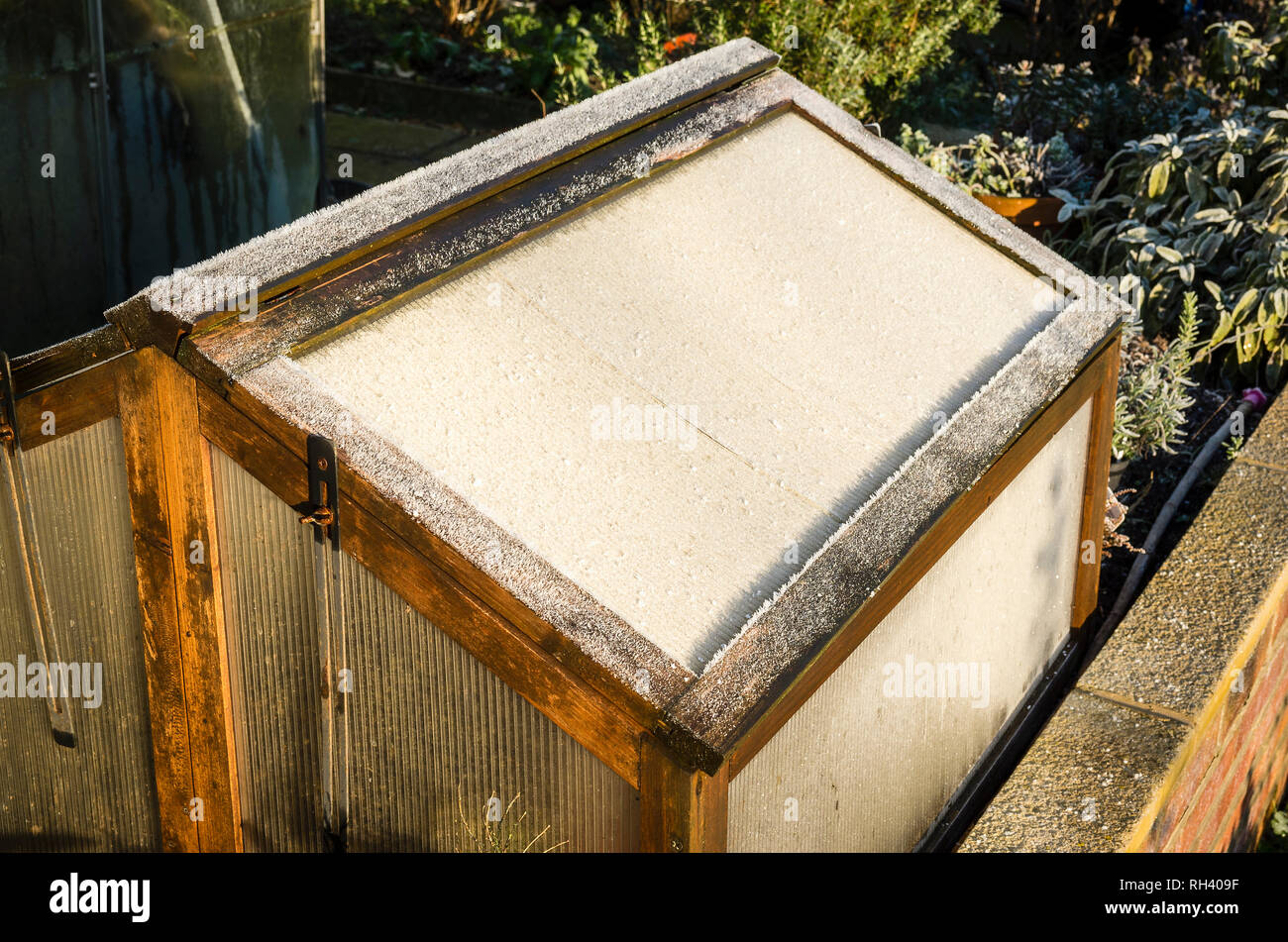 Ein Frost - hölzerne überdachte kalten Rahmen auf einem erhöhten Bett Pflanzen Schutz im Januar in einem Englischen Garten Stockfoto