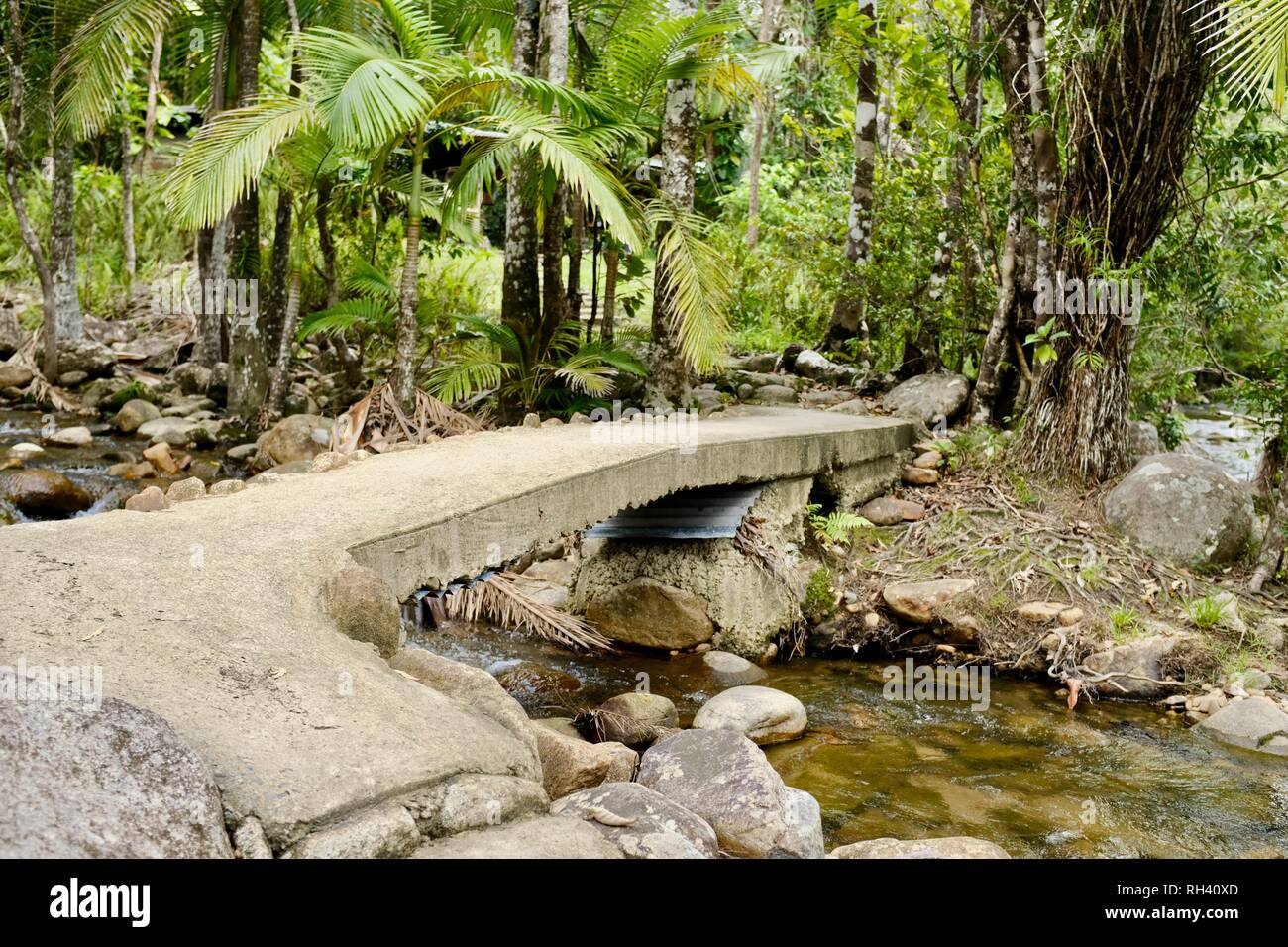 Eine kleine Brücke über einem kühlen Wasser in einem tropischen Stream, Finch Hatton, Queensland, 4756, Australien Stockfoto