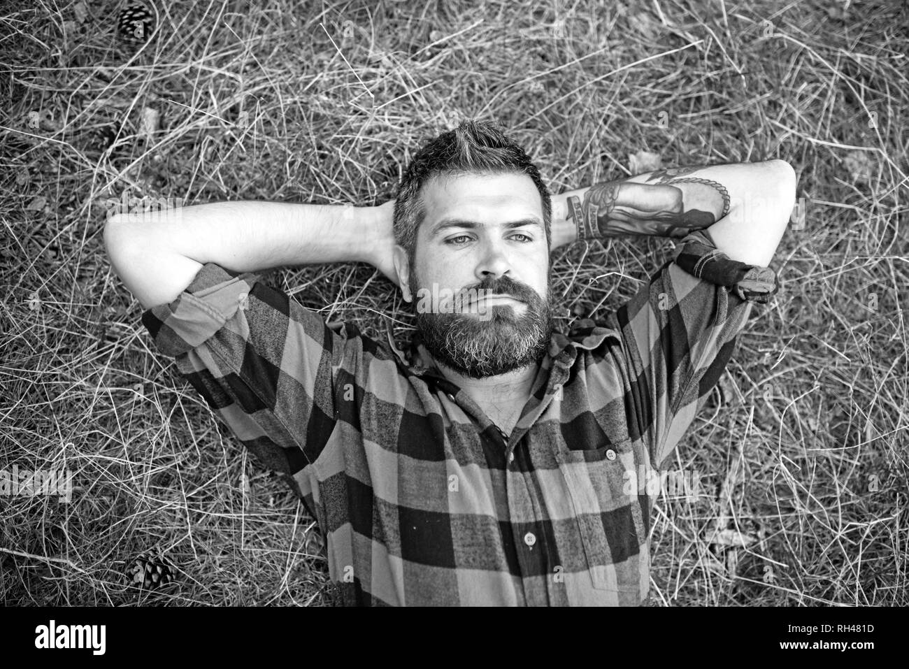 Ruhe hipster liegend auf grünem Gras. Hübscher Kerl mit tattoo Relaxen im Park. Overhead Portrait von bärtigen Mann mit blauen Augen und dem prächtigen Schnurrbart. U Stockfoto