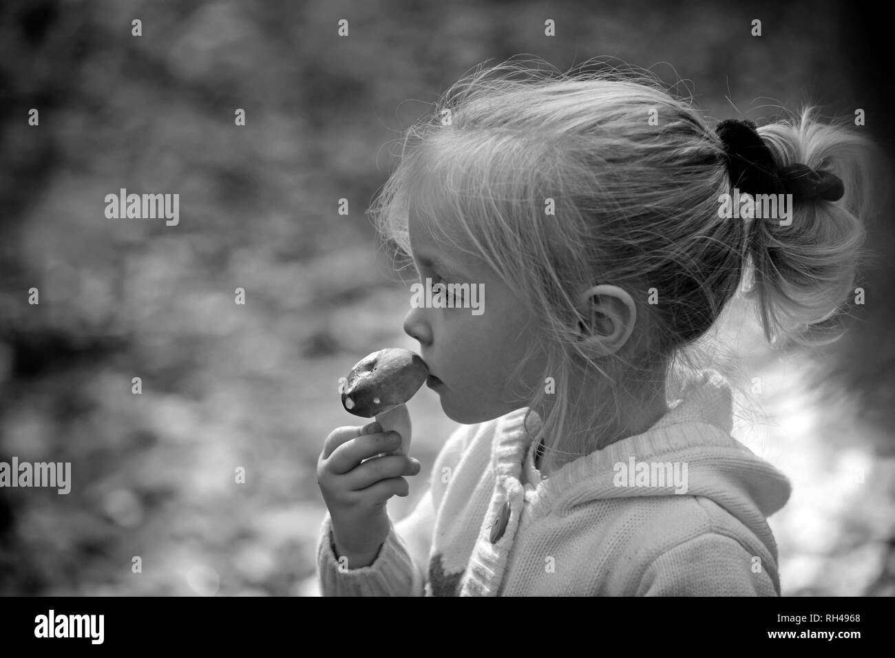 Kind mit frischen Pilzen im Herbst Wald. Kleines Mädchen Ernte Pilze im Wald. Organische und gesundes Essen. Erziehung und frühen Entwicklung. Childh Stockfoto