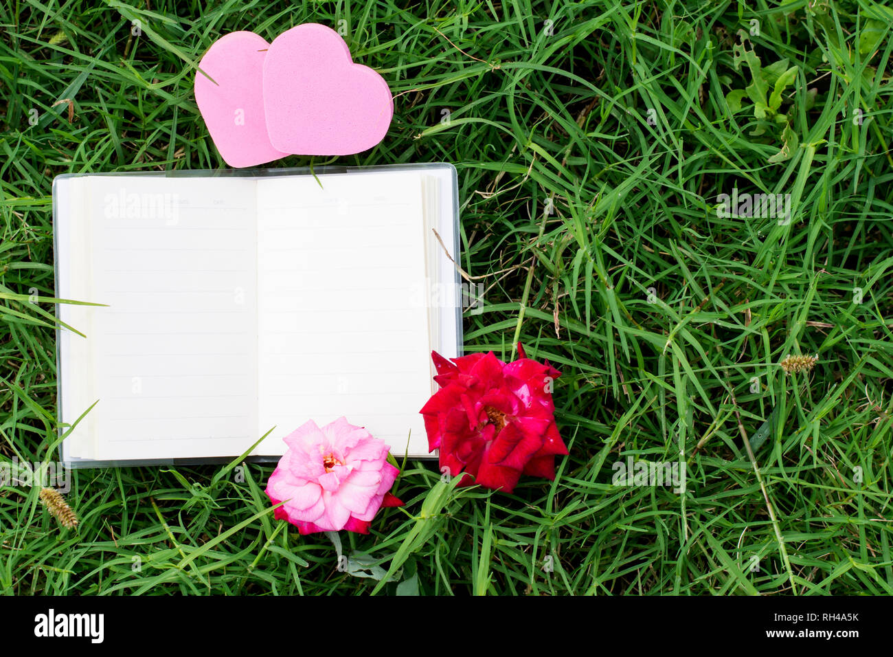 Get Sprueche mit rosen Desktop Wallpaper Free