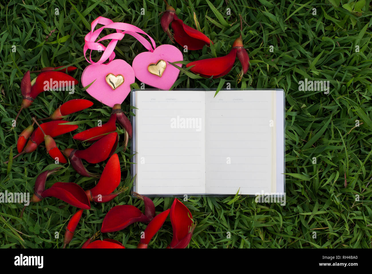 Download Sprueche ueber rosen For Android Free