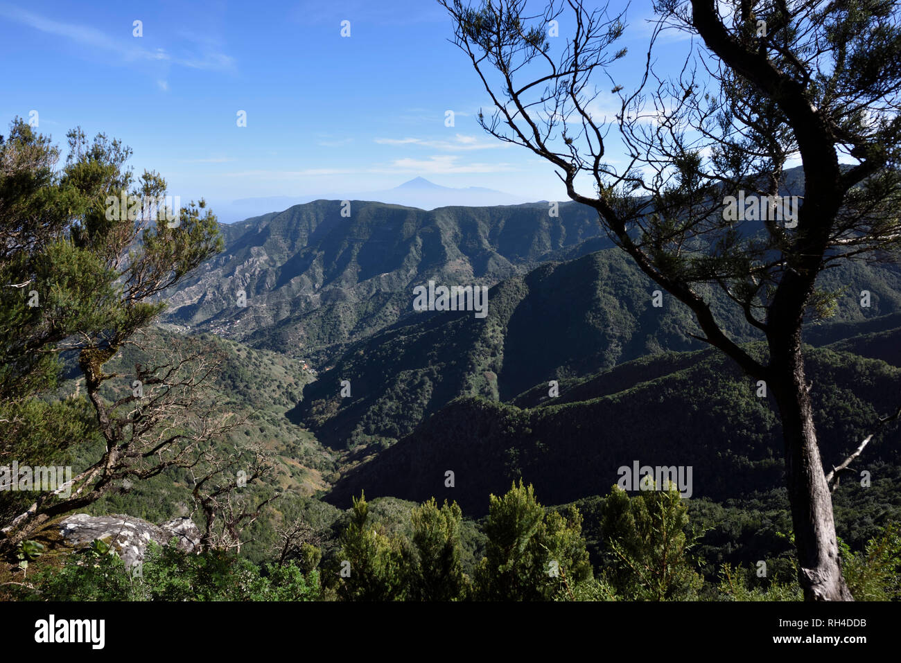 Die grünen Hügel der Nationalpark Garajonay und oben auf dem Berg Teide im Hintergrund, La Gomera, Kanarische Inseln, Spanien Stockfoto