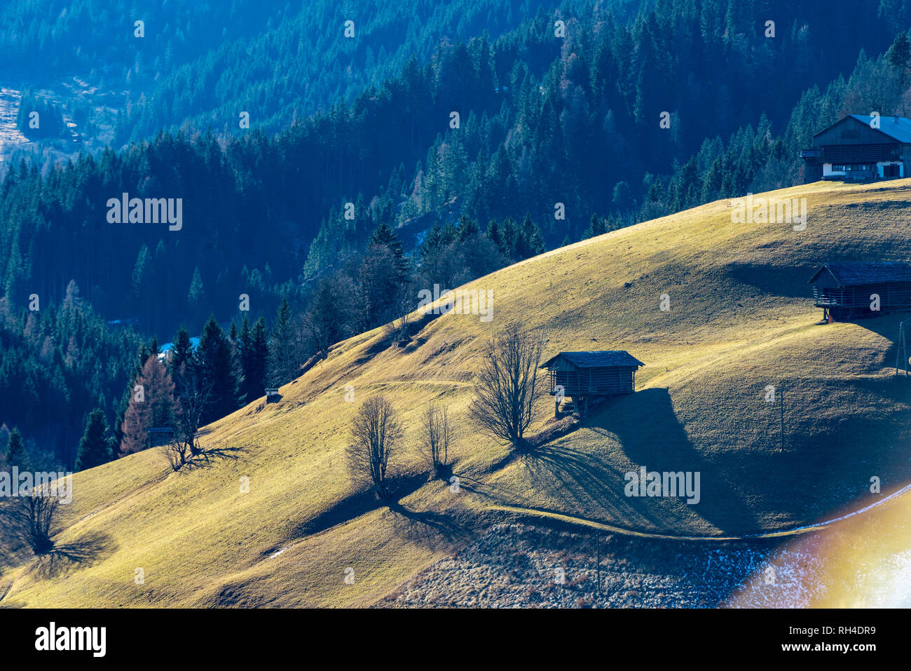 Alpin Weide mit grünem Gras und einige Kabinen vor einem blauen suchen Wald Stockfoto