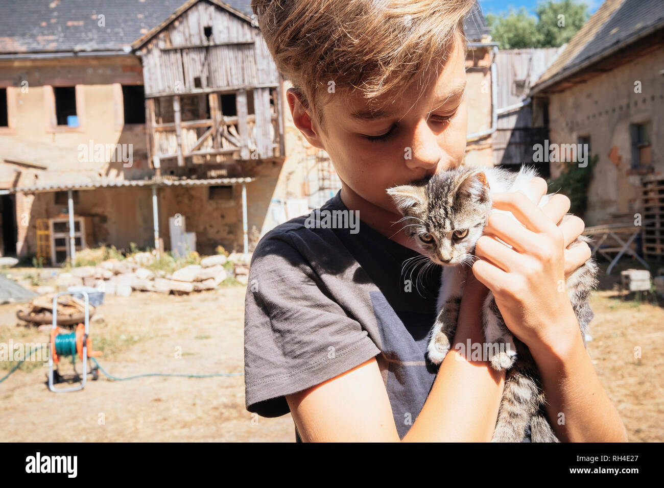 Liebevoller Junge küsst Kätzchen auf sonnigem Bauernhof Stockfoto