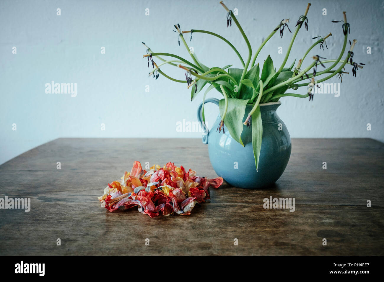 Tot Blütenblätter neben Stiele in Vase Stockfoto
