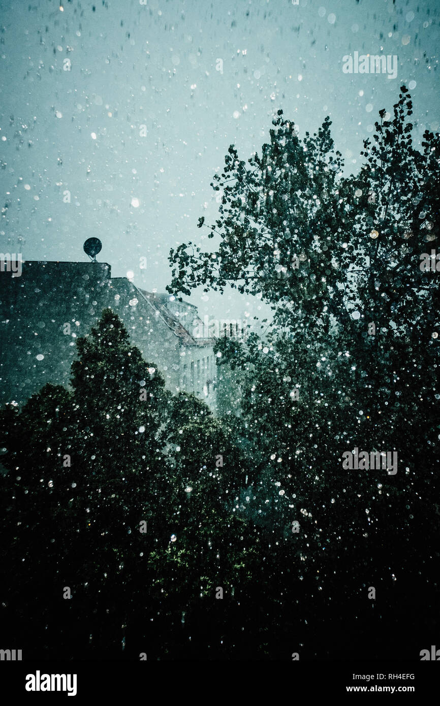 Ethereal Regentropfen am Fenster mit Blick auf Baum Stockfoto