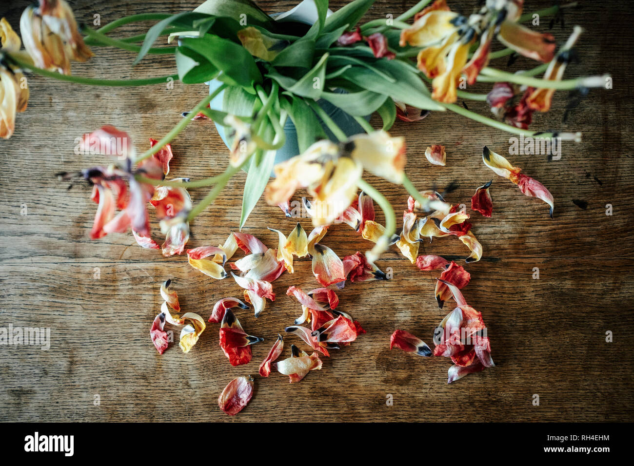 Tot Blütenblätter fallen von Bouquet stammt Stockfoto