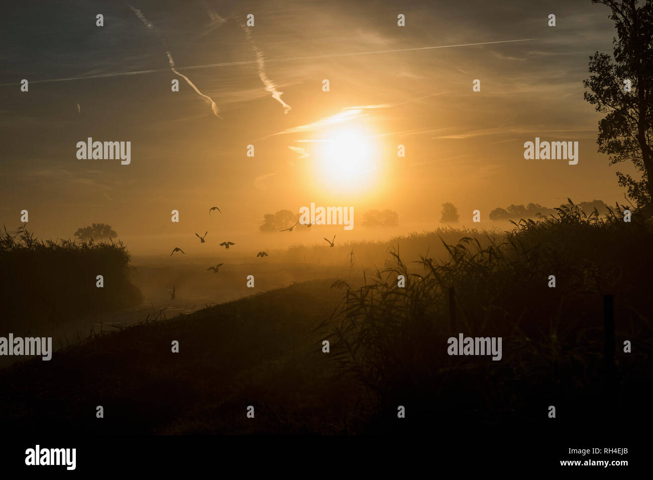 Sonnenaufgang über idyllische, ruhige Flächen Stockfoto