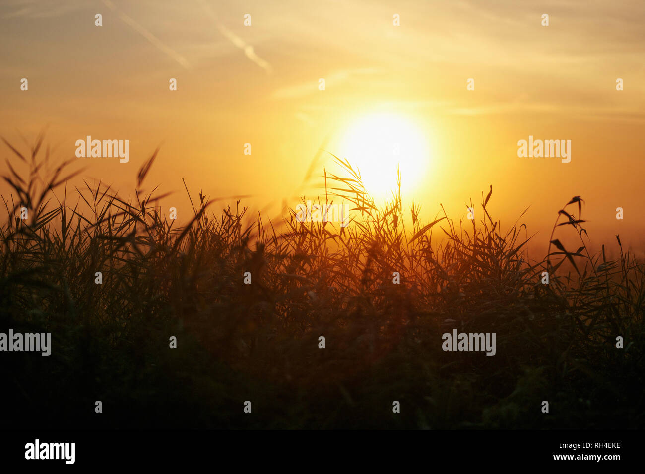 Idyllischen Sonnenuntergang über ländlichen Bereich Stockfoto