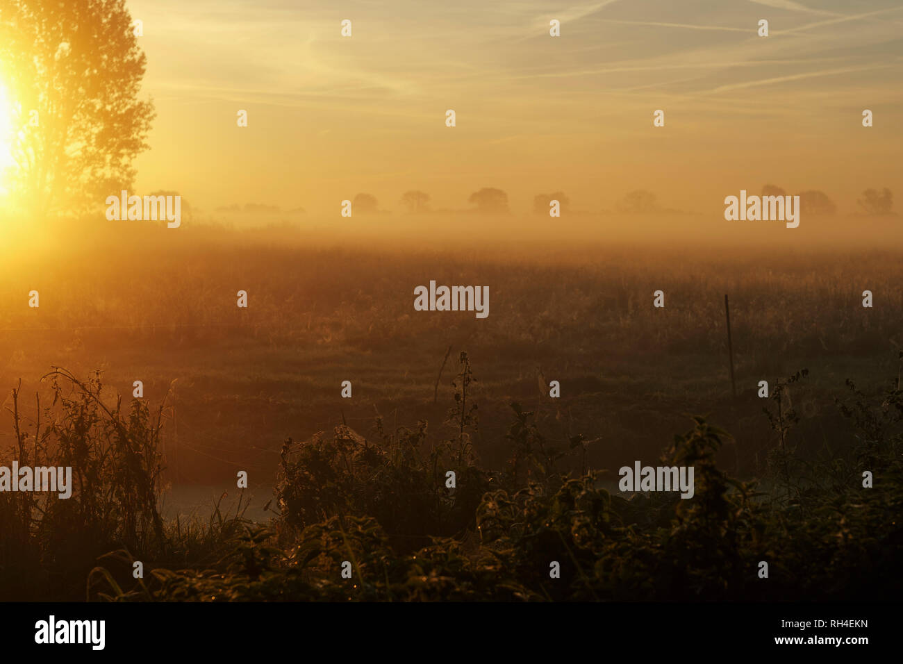 Sonnenaufgang über ruhige, idyllische Ackerland Stockfoto