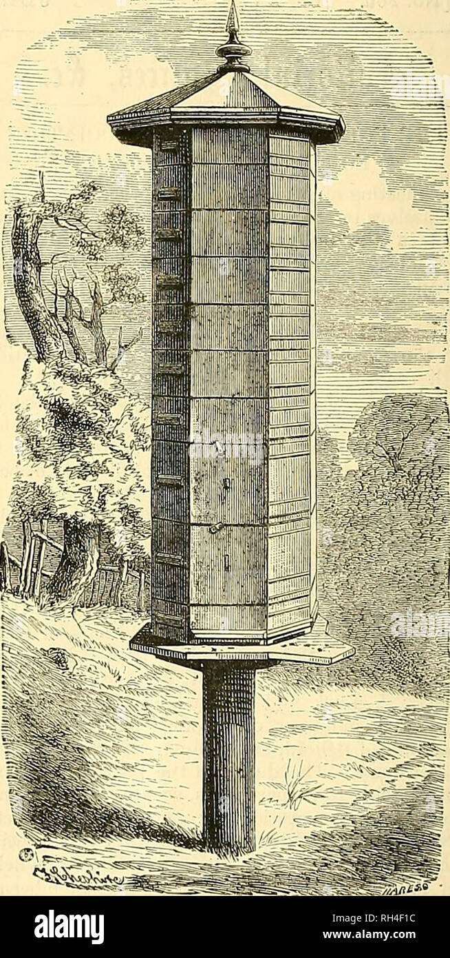 . Britische bee Journal &Amp; Imker Berater. Bienen. Drei Körper anil ein Honig. Prinzip wird nun durch erweiterte Biene verabschiedet - Halter in England und Amerika unter dem Namen Tiering. Dieser Honig ertragreiche Hive bestand ursprünglich aus drei octagon Körper oder Zucht - Boxen, 14 Zoll breit und innen mit 6 tief. Diese gebildet, was genannt wurde war ein Satz, 18 Zoll in der Regel als ausreichende Tiefe von Zucht Platz für eine Kolonie; während die Octagon Statisten oder Honig Boxen al wurden; o 14 cm breit, 8, 3 J und 4 Zoll tief und waren sectionally unterteilt, wenn so erforderlich. Alle Kisten, Rasse - in Stockfoto