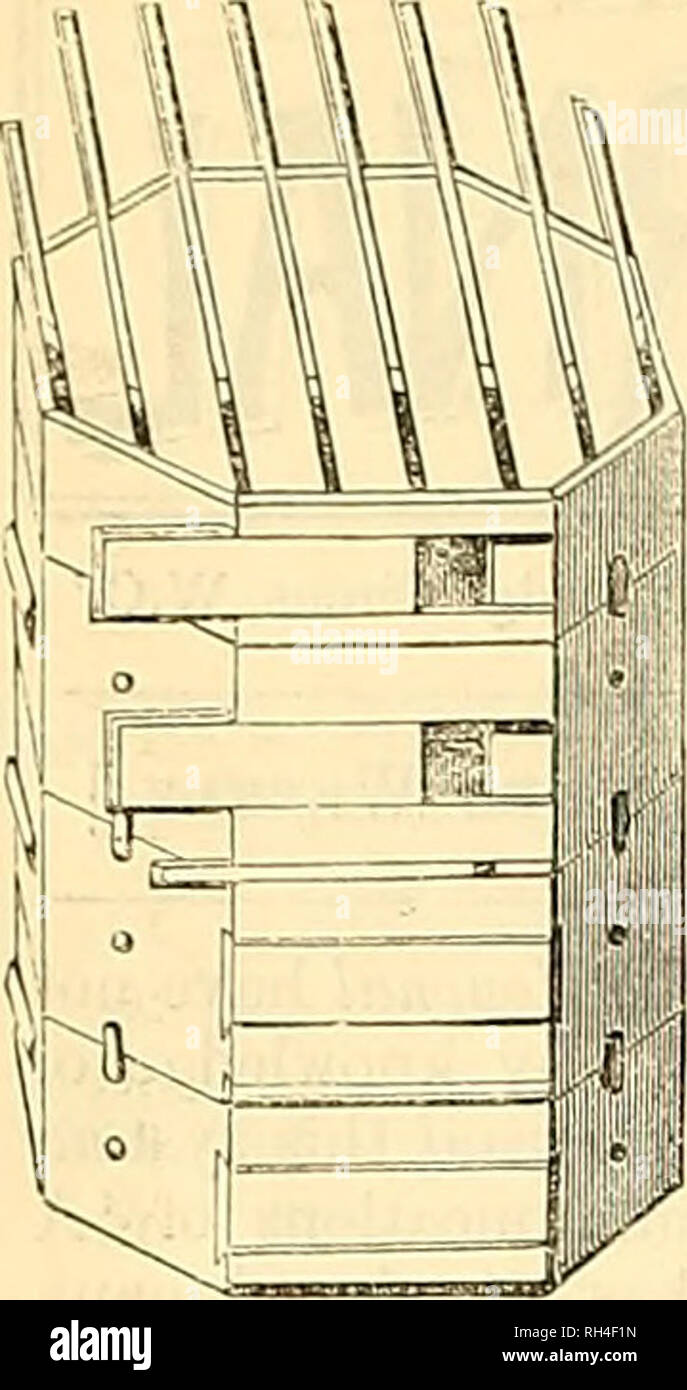 . Britische bee Journal &Amp; Imker Berater. Bienen. 30 G DER BRITISCHEN BEE JOURNAL. [Juli 21, 1887. Drei Körper anil ein Honig. Prinzip wird nun durch erweiterte Biene verabschiedet - Halter in England und Amerika unter dem Namen Tiering. Dieser Honig ertragreiche Hive bestand ursprünglich aus drei octagon Körper oder Zucht - Boxen, 14 Zoll breit und innen mit 6 tief. Diese gebildet, was genannt wurde war ein Satz, 18 Zoll in der Regel als ausreichende Tiefe von Zucht Platz für eine Kolonie; während die Octagon Statisten oder Honig Kästen wurden Al; o 14 cm breit, 8, 3 J und 4 Zoll tief und waren sectiona unterteilt Stockfoto