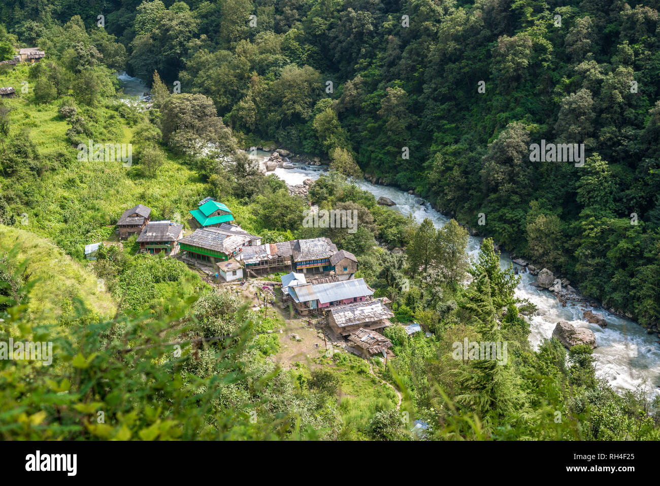 Hölzerne Haus Dorf von deodar Baum umgeben - Wald Dorf im Himalaja, Indien Stockfoto