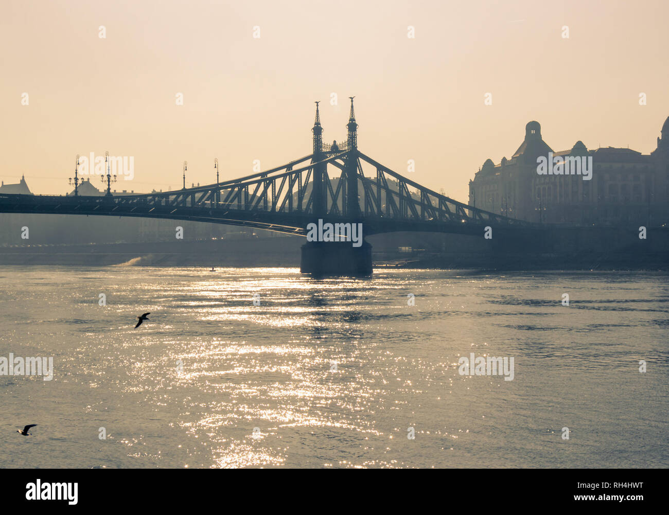 Freiheitsbrücke in Budapest Stockfoto