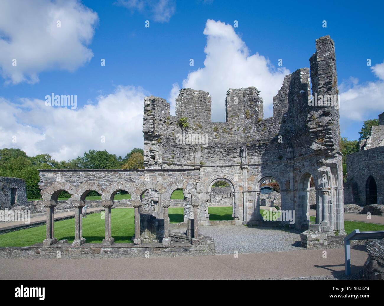 Architektonisches detail an Mellifont Abbey Irland Stockfoto