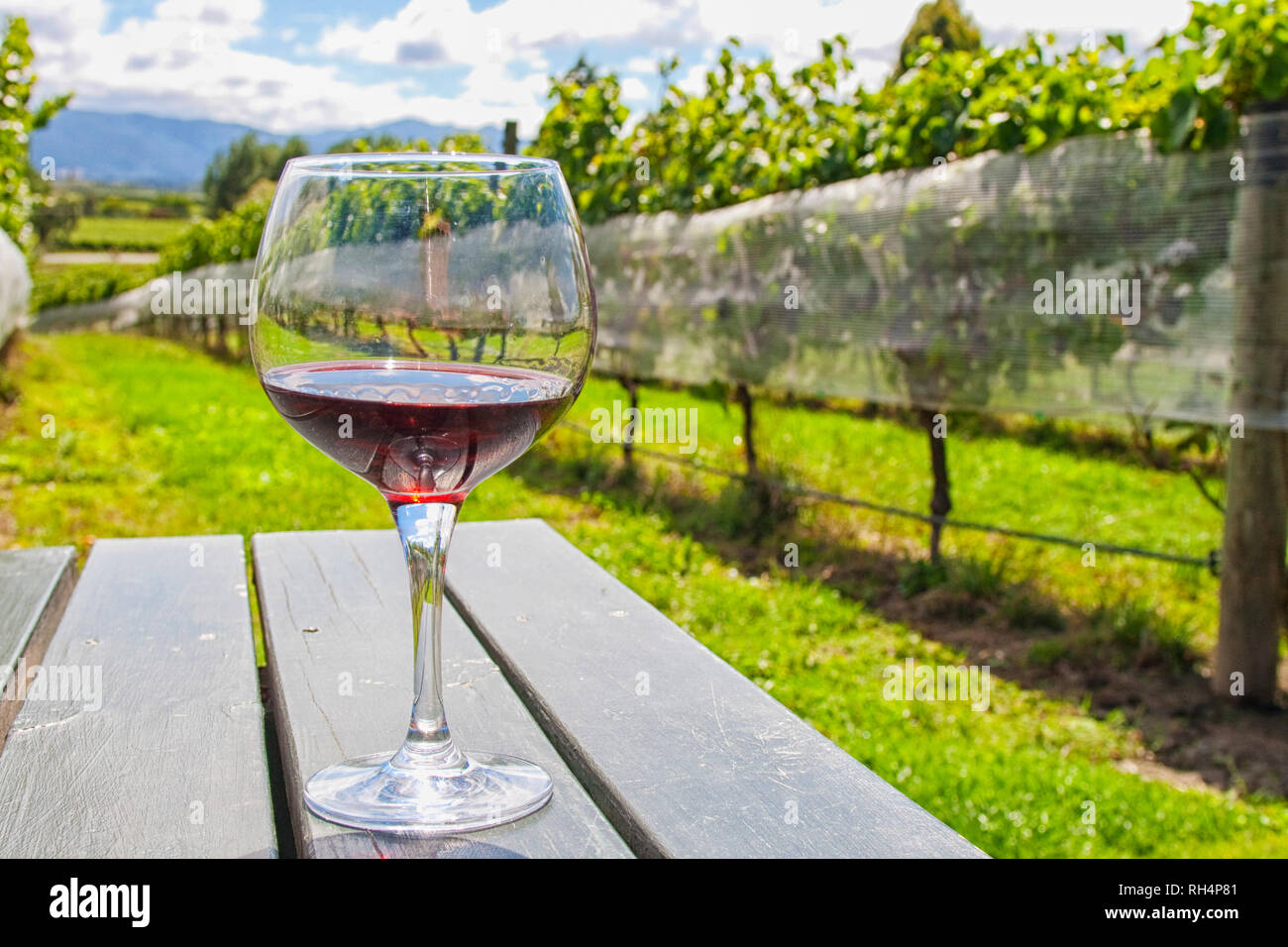 Glas mit Rotwein auf dem Tisch im Weinberg in der Hawkes Bay, Neuseeland Stockfoto