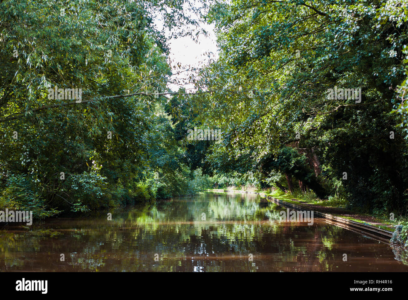 Einem ruhigen Strandabschnitt der Llangollen Canal an Whixall Moos, auf der England/Wales Grenze Stockfoto