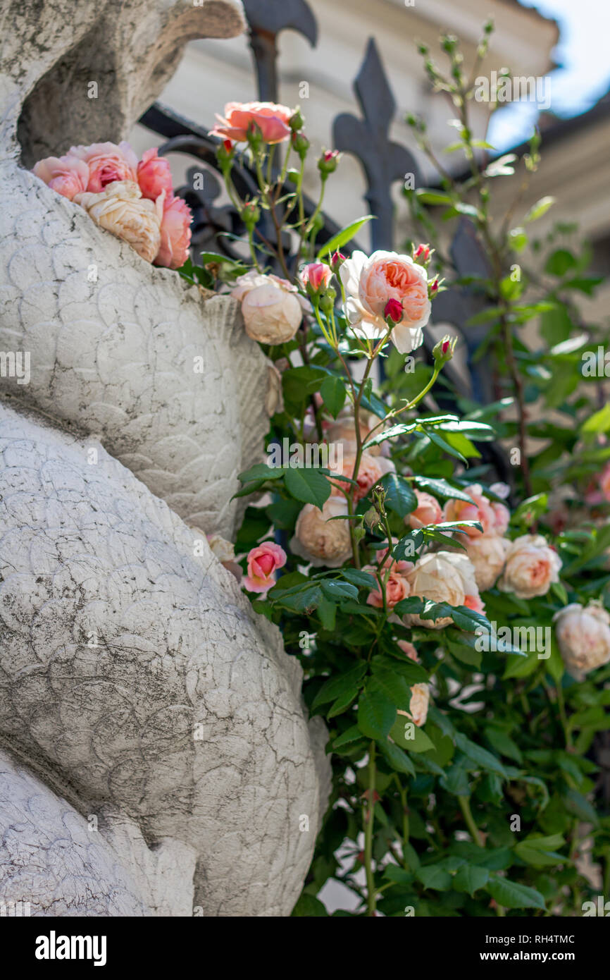 Kleine Rosen kommen aus der Vase in der Kirche im Zentrum von Brescia. Stockfoto