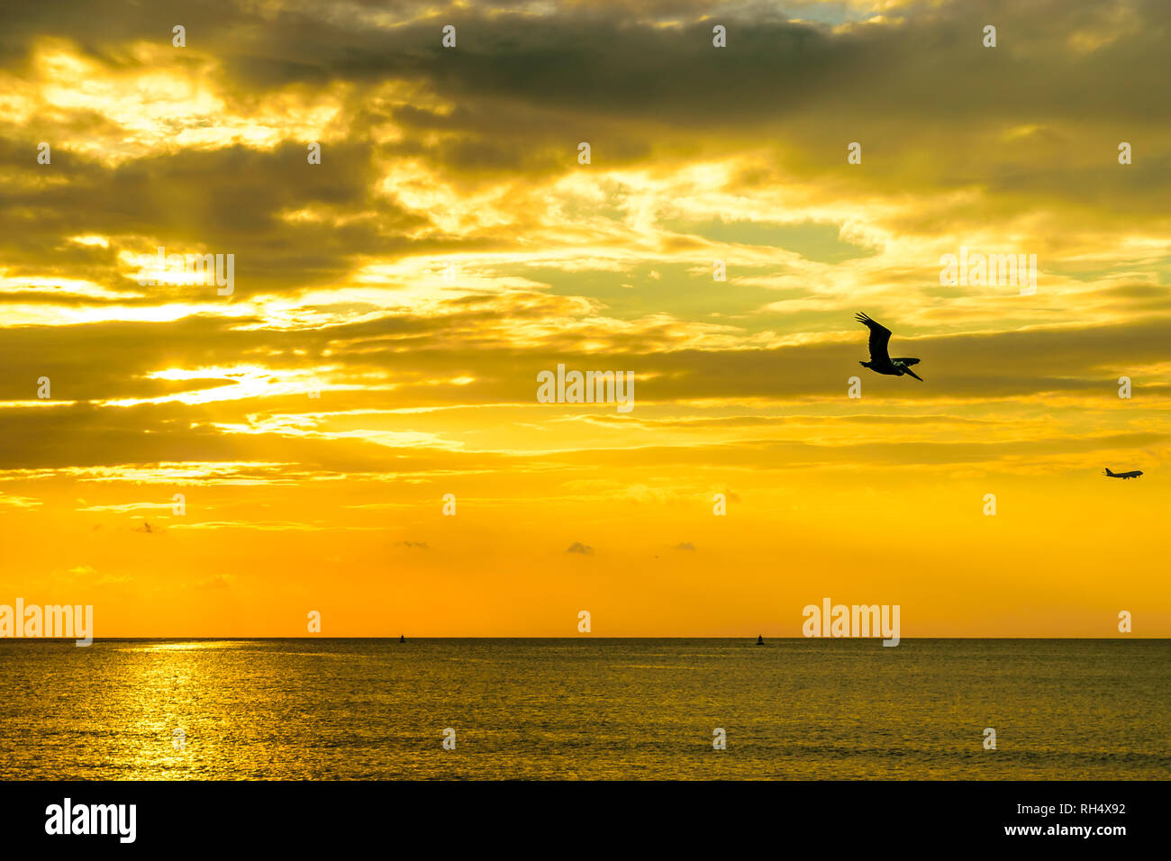 Silhouette der Vogel, ein Flugzeug und zwei Segelboote bei Sonnenuntergang in Montego Bay. Stockfoto