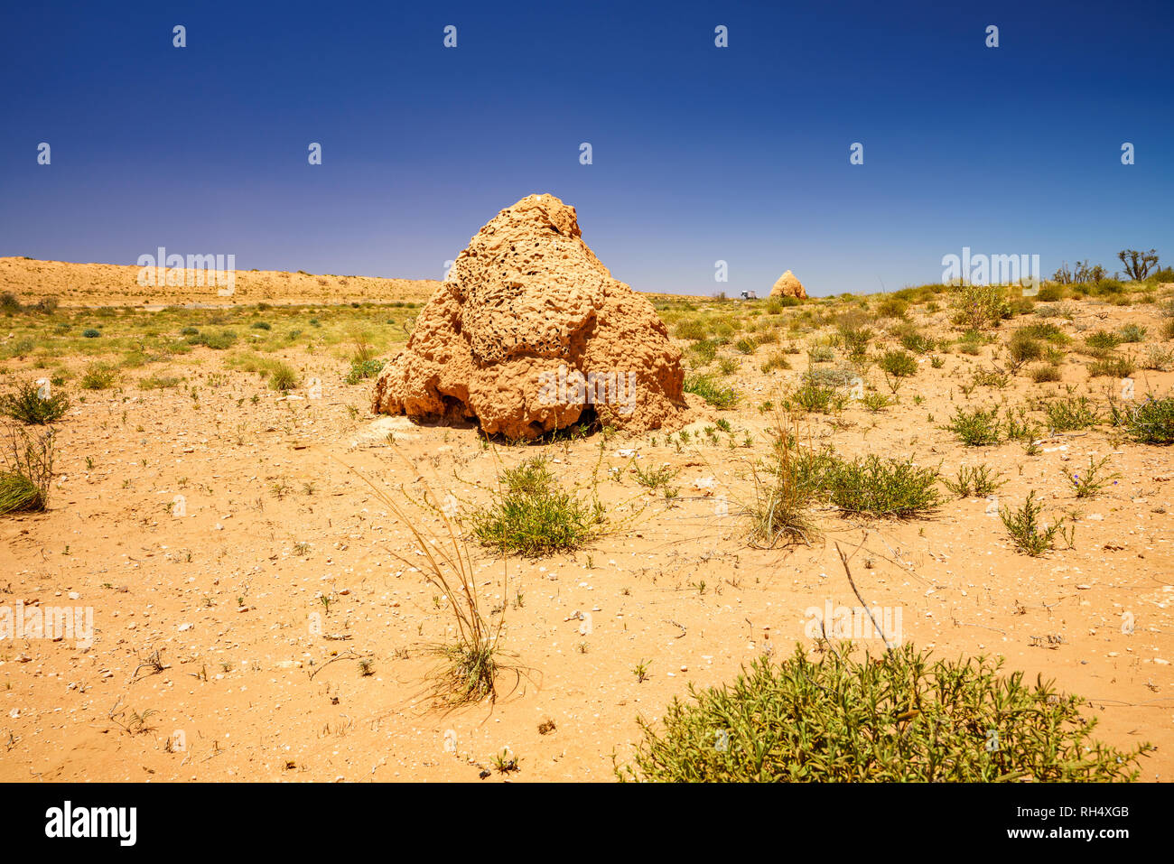 Viele Termitenhügel in der Wüste von Western Australia Stockfoto