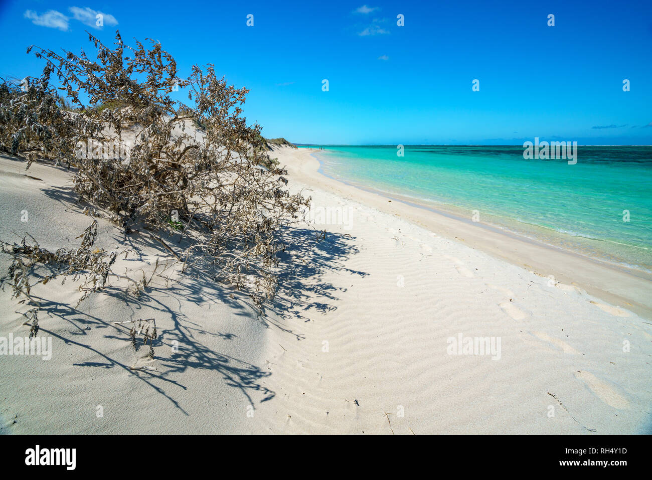 Weißer Sand und türkisblaues Wasser am Strand von Turquoise Bay, Cape Range, Western Australia Stockfoto