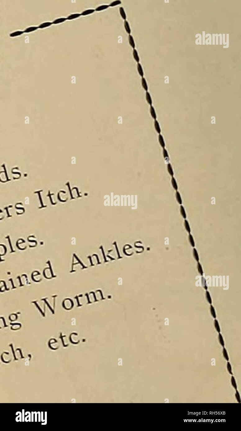 Zuchter Und Sportler Pferde A Auf S O Gt T J O N Ii A Ich Bo Ein I I Ft Oder Als Tr An Ar A A A Ja J