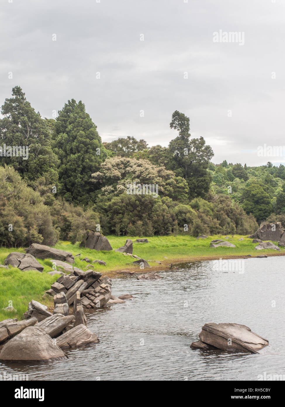 Ephemere Feuchtgebiete im Sommer, schöne ruhige Landschaft, Natur, See Kiriopukae, Te Urewera National Park, North Island, Neuseeland Stockfoto