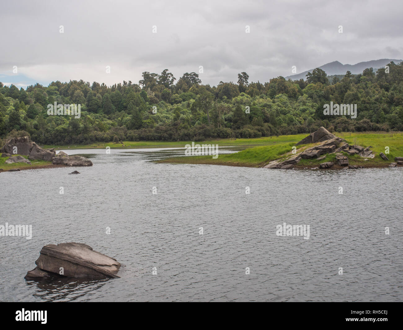 Ephemere Feuchtgebiete im Sommer, schöne ruhige Landschaft, Natur, See Kiriopukae, Te Urewera National Park, North Island, Neuseeland Stockfoto